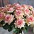 billige Kunstig blomst-Gren PU Roser Bordblomst Kunstige blomster 50*8*4CM