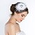 voordelige Bruiloft Zendspoel-zijde vogelkooi sluiers hoofddeksel huwelijksfeest elegante vrouwelijke stijl
