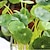 Недорогие Искусственные растения-Филиал Шелк Пластик Pастений Букеты на стол Искусственные Цветы
