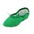 baratos Sapatilhas de Ballet-Sapatos de Dança (Verde) - Mulheres / Crianças - Não Personalizável - Ventre / Balé / Sapatilhas de Dança