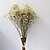 cheap Artificial Flower-Dried Flowers Dried Fruit Specially Made By Hand Dried Flower Others Artificial Flowers