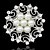 cheap Brooches-Women&#039;s Brooches Snowflake Fashion Resin Rhinestone Brooch Jewelry For Party Special Occasion Birthday Gift Daily