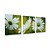 billige Blomster-/botaniske malerier-Hang malte oljemaleri Håndmalte - Blomstret / Botanisk Moderne Lerret / Tre Paneler / Stretched Canvas