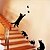 cheap Wall Stickers-Decorative Wall Stickers - Animal Wall Stickers Animals / Still Life / Romance Living Room / Bedroom / Dining Room / Removable