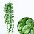 Недорогие Искусственные растения-Искусственные Цветы 2 Филиал Пастораль Стиль Pастений Цветы на стену