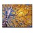 halpa Suosituimpien taiteilijoiden öljymaalaukset-Hang-Painted öljymaalaus Maalattu - Kukkakuvio / Kasvitiede European Style Kangas