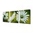 billige Blomster-/botaniske malerier-Hang malte oljemaleri Håndmalte - Blomstret / Botanisk Moderne Lerret / Tre Paneler / Stretched Canvas