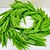 cheap Artificial Plants-Grape Leaves Cane Plastic Plants Artificial Flowers