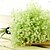 cheap Artificial Plants-Household Adornment Flowers Plastic Baby Breath Artificial Flowers