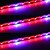 baratos Faixas de Luzes LED-Zdm 5 m à prova d &#039;água ip65 5050 4 vermelho + 1 azul espectro completo levou crescer luz 300 leds levou lâmpadas de tira para plantas de cultivo de iluminação do aquário 1 pc