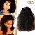 cheap Clip in Hair Extensions-Clip In Human Hair Extensions Curly Kinky Curly Human Hair Peruvian Hair Black