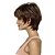 cheap Synthetic Trendy Wigs-Synthetic Hair Wigs Curly Capless Carnival Wig Halloween Wig Short Brown