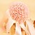 cheap Wedding Flowers-Wedding Flowers Bouquets Wedding / Party / Evening Crystal / Rhinestone / Foam 10.63&quot;(Approx.27cm)