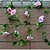cheap Artificial Flower-9 Heads Rose Vine Cane Adornment Flowers Silk Flower