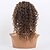 cheap Human Hair Wigs-16inch short curly brazilian hair lace front wig for women