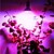 preiswerte LED Pflanzenzuchtlampe-1pc 18 W 20 W Wachsende Glühbirne 3000-3607LM E26 / E27 500 LED-Perlen SMD 2835 Rot Blau 85-265 V / RoHs / FCC