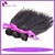 levne Prameny přírodních vlasů-Lidské vlasy Vazby Peruánské vlasy Kinky Curly 6 měsíců 4 kusy Vazby na vlasy