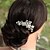 baratos Jóias de cabelo-Mulheres Pentes de Cabelo Para Casamento Festa Diário Flor Zircão Strass Liga Prata