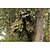 cheap Hunting Jackets-Men Outdoor Camouflage CS Hunting Bow Suits Jacket Coat Camo Fishing Casual Suits(Jacket+Trousers+Hat+Surface+Glove)