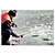 billige Fiskehjul-Fiskehjul Flue Hjul / Isfiskehjul 1:1:1 Gear Forhold+3 Kuglelejer Højrehåndet Havfiskeri / Fluefiskeri / Isfikeri - fr003QY / Ferskvandsfiskere / Generel Fiskeri / Trolling- &amp; Bådfiskeri