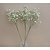 Χαμηλού Κόστους Ψεύτικα Λουλούδια-Ψεύτικα λουλούδια 1 Κλαδί μινιμαλιστικό στυλ Γυψόφυλλο Λουλούδι για Τραπέζι