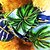 abordables Vêtements pour chiens-Chien Tee-shirt Floral Botanique Vacances Mode Vêtements pour Chien Vêtements pour chiots Tenues De Chien Respirable Bleu Costume pour fille et garçon chien Coton XS S M L XL