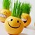 cheap Sculptures-Gift face expression Hair man Plant Bonsai Grass Doll Office Mini Plant Fantastic Home Decor (Random Color)