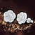 cheap Earrings-Stud Earrings - Pearl Roses Flower Ladies Work Jewelry Screen Color For