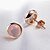 olcso Orecchini-Women&#039;s Crystal Stud Earrings Ladies Sterling Silver Silver Earrings Jewelry Pink For Wedding Party Daily Casual Sports
