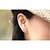 cheap Earrings-Women&#039;s Stud Earrings Ladies Sterling Silver Imitation Pearl Silver Earrings Jewelry For Wedding Party Daily Casual Sports