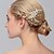 ieftine Casca de Nunta-Perle Îmbrăcăminte de păr / Veșminte de cap cu Floral 1 buc Nuntă / Ocazie specială / Casual Diadema