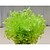cheap Artificial Plants-Polyester Simple Style Bouquet Tabletop Flower Bouquet 1