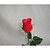 cheap Artificial Flower-Artificial Flowers 1 Branch Simple Style Roses Tabletop Flower