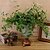 cheap Artificial Flower-Artificial Flowers 1 Branch Simple Style Plants Wall Flower