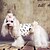 cheap Dog Clothes-Dog Coat Puppy Clothes Fashion Winter Dog Clothes Puppy Clothes Dog Outfits White Costume for Girl and Boy Dog Cotton L XL