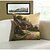cheap Throw Pillows &amp; Covers-Baolisi Set of 5 Beautiful FlowerDecorative Pillow /European Imitation Paintings Series