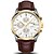 cheap Mechanical Watches-Carnival Men&#039;s Fashion Watch Automatic self-winding Leather Band Brown