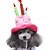 cheap Dog Clothes-Costume Dog Clothes Birthday Cosplay Halloween Costume For Pets