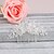 cheap Headpieces-Rhinestone Hair Combs with 1 Wedding / Special Occasion / Casual Headpiece