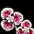 cheap Brooches-Women&#039;s Oil Painting Flower for Wedding Party Decoration Scarf ,Fine Jewelry,Random Color