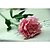 olcso Művirágok és vázák-Poliészter Bazsarózsák Művirágok