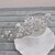 cheap Headpieces-Rhinestone Tiaras with 1 Wedding / Special Occasion / Casual Headpiece