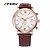 cheap Watches-Men&#039;s Wrist watch Quartz Calendar Water Resistant / Water Proof Sport Watch Leather Band Brown Brand SINOBI