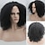 abordables Perruques synthétiques à dentelle-Perruque Lace Front Synthétique Afro Kinky Curly Très Frisé Afro Lace Frontale Perruque Cheveux Synthétiques Femme Noir