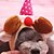 お買い得  犬用服-コスチューム 子犬の服 コスプレ ハロウィーン 犬用ウェア 子犬の服 犬の衣装 Brown コスチューム 女の子と男の子の犬のために S M