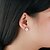 cheap Earrings-925 Sterling Silver Women Jewelry Fashion High Quality Rose Gold Plated Drop Earrings with Cubic Zirconia