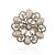 cheap Brooches-Silver Plated/Imitation Pearl/Rhinestone Brooch/Fashion Water Droplets Flower Brooch/Party/Daily 1pc
