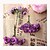 cheap Hair Jewelry-Cat Ears Headband wedding hair accessories  Kitty Crown  Flower crown Travel Accessories Headwear Accessories