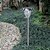 abordables Lumières de cordes solaires-télécommande capteur de lumière solaire blanche&amp;amp; couleur claire pic de changement de jardin monté