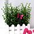 זול צמחים מלאכותיים-פרחים מלאכותיים 1 ענף פסטורלי סגנון צמחים פרחים לשולחן